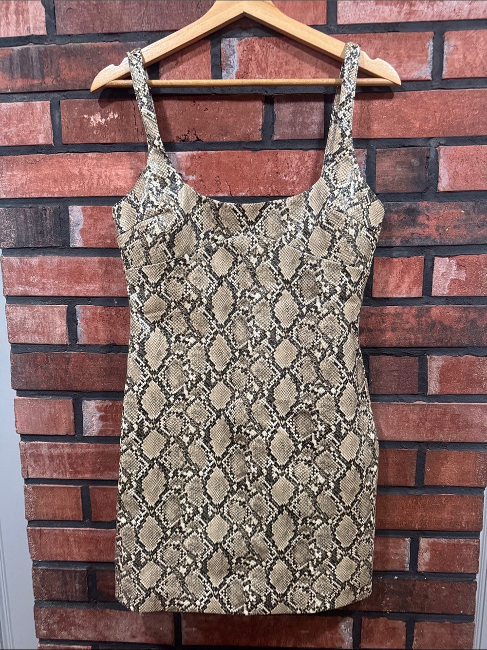 Zara Snake Print  Dress